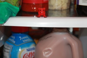 Red Mordle chilling in the fridge!