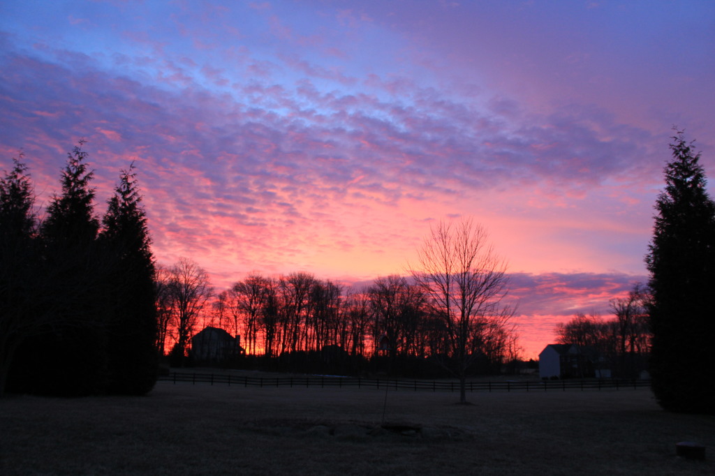 Nature's painting. The perfect way to start the day.