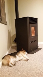 Yoda sleeping near stove