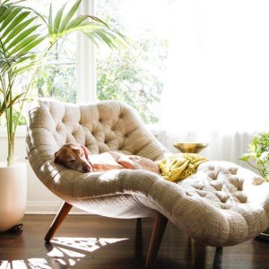 From https://media-assets.bookbub.com/wp-content/uploads/2016/10/20-Reading-Chairs-12.jpg