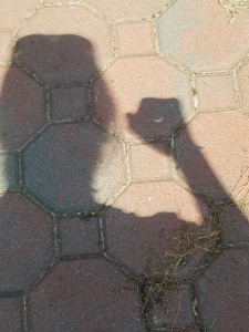 20170821_144141