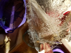 20181226_141252
